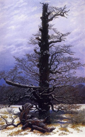 Caspar David Friedrich, Querce nella neve