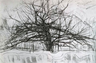 Piet Mondrian, tree